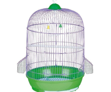 mauvaise cage oiseau exotique domestique troisiéme exemple